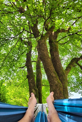 Füße auf einer Hängematte mit Blick in einen Baum